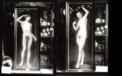Photographies en noir et blanc du diptyque « Adam et Ève » peint par Lucas Cranach l’Ancien. (Crédit : Archives Goudstikker/von Saher)
