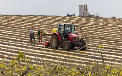 Des agriculteurs semant des cultures dans un champ du moshav de Pedaya, dans le centre d’Israël, le 25 mars 2026. (Crédit : Yossi Aloni/Flash90)
