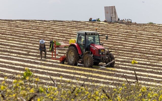 Des agriculteurs semant des cultures dans un champ du moshav de Pedaya, dans le centre d’Israël, le 25 mars 2026. (Crédit : Yossi Aloni/Flash90)