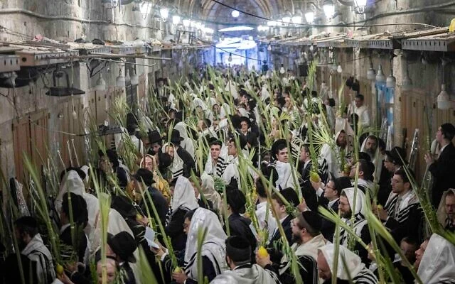 Des Juifs, enveloppés dans des châles de prière, tenant les « quatre espèces » lors de la prière du matin à l’occasion de la fête de Souccot, à l’entrée du mont du Temple dans la Vieille Ville de Jérusalem, le 27 septembre 2026. (Crédit : Chaïm Goldberg/Flash90)
