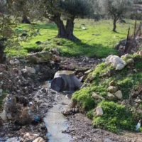 Des eaux usées s'écoulant dans le Wadi al-Eish, près de Tulkarem, au nord de la Cisjordanie, début 2026. (Crédit : Green Now)