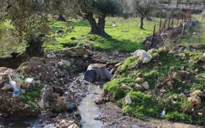 Des eaux usées s'écoulant dans le Wadi al-Eish, près de Tulkarem, au nord de la Cisjordanie, début 2026. (Crédit : Green Now)