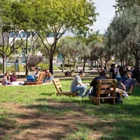 Des étudiants à l’université Tel-Hai de Kiryat Shmona, en Galilée, le 20 octobre 2026. (Crédit : Université Tel-Hai de Kiryat Shmona, Galilée)