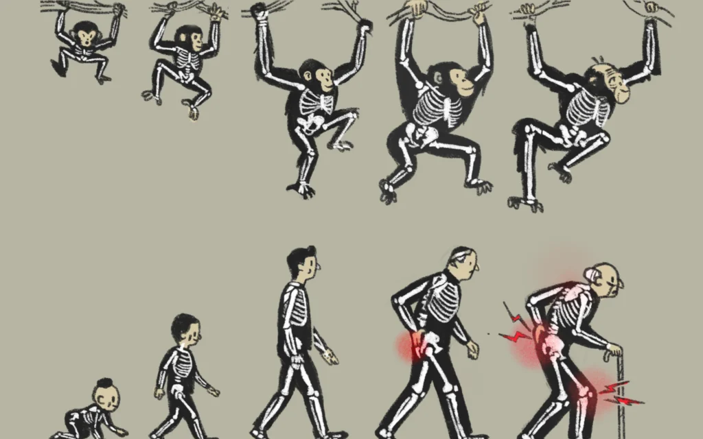 Interprétation libre par l'illustrateur Itai Raveh de la célèbre présentation de l'évolution humaine de Rudolph Zallinger, en 1965, communément appelée « La Marche du progrès ». (Autorisation/Institut Weizmann des Sciences)
