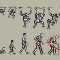 Interprétation libre par l'illustrateur Itai Raveh de la célèbre présentation de l'évolution humaine de Rudolph Zallinger, en 1965, communément appelée « La Marche du progrès ». (Autorisation/Institut Weizmann des Sciences)