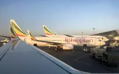 Des avions d'Ethiopian Airlines  stationnés à l'aéroport international de Bole, à Addis-Abeba, en Éthiopie, le 11 février 2019. (Crédit : Ben Curtis/AP)