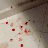 Des éclaboussures de sang sur le sol d'une maison du village de Talfit, en Cisjordanie, à la suite d'une attaque présumée perpétrée par des résidents d'implantation, le 13 octobre 2026. (Crédit : Capture d'écran/X ; utilisée conformément à l'article 27a de la loi sur le droit d'auteur)