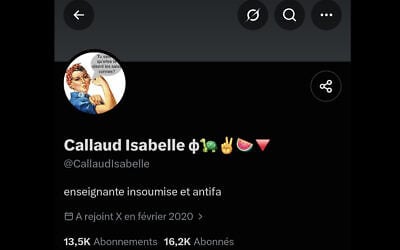 Le profil X.com d’Isabelle Richard Callaud, depuis supprimé. (Crédit : @CallaudIsabelle/X.com)