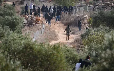 Des résidents d'implantation juifs extrémistes masqués affrontant des Palestiniens lors de la récolte annuelle des olives dans le village d’Abu Falah, près de Ramallah en Cisjordanie, où plusieurs personnes, dont la photojournaliste américaine Heidi Levine, ont été blessées lors d’une attaque menée par des résidents d'implantation, le 16 octobre 2026. (Crédit : Flash90)