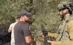 Un soldat ordonne à un Palestinien de sortir d'une oliveraie à Beita, près de Naplouse, dans le nord de la Cisjordanie, le 2 octobre 2026. (Capture d'écran : X, utilisé conformément à l'article 27a de la loi sur les droits d'auteur)