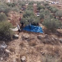 Des Palestiniens récoltant des olives en Cisjordanie sous la protection de l'armée israélienne, sur une photo publiée le 25 octobre 2026. (Crédit : Armée israélienne)