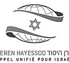 Keren Hayessod