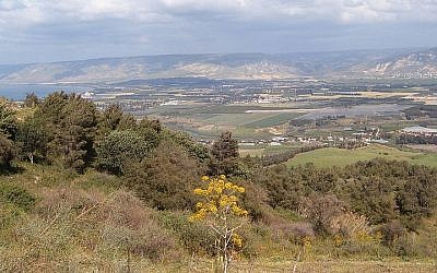 A view of the Jordan Valley (photo credit: heatkernel)