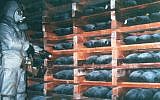 Illustrative photo of a chemical weapons stockpile (photo credit: CC BY-jenspie3/Flickr)