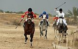 Palestinian jockeys take part in a horse race in the West Bank city of Jericho. (photo credit: Issam Rimawi/Flash90)