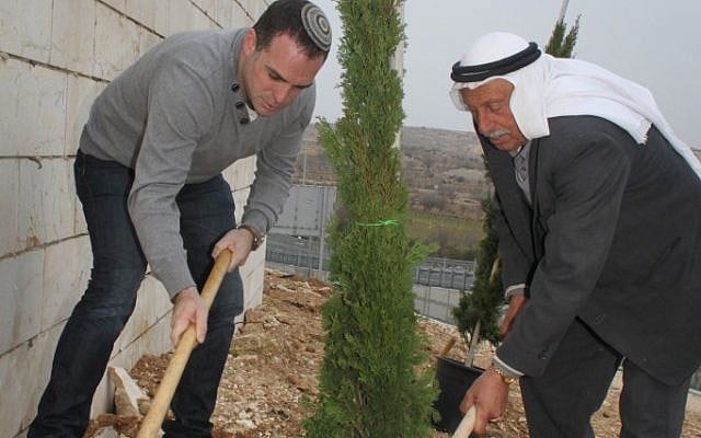 Jews and Arabs plant trees on Tu Bishvat (photo credit: Gershon Elinson / Flash90)