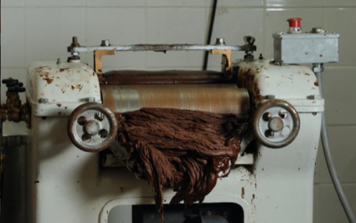 Holy Cacao beans (photo credit: Courtesy) Holy Cacao beans (photo credit: Courtesy)