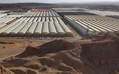 Greenhouses in the Judean desert, near Ein Yahav (photo credit: Nati Shohat/Flash90)