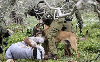 An Israeli police dog attacks a demonstrator during a protest in the village of Kufr Qaddum near the Israeli settlement of Kdumim in the northern West Bank, Friday. (photo credit: AP)