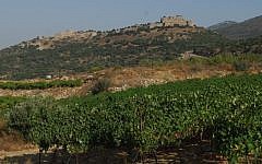 File photo of the Golan Heights (photo credit: Flash90)