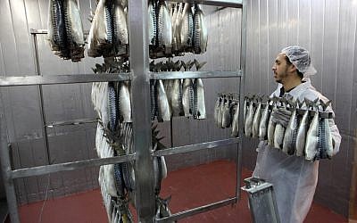 File: Fish being prepared in a Ramle factory (Yaakov Naumi/Flash90)