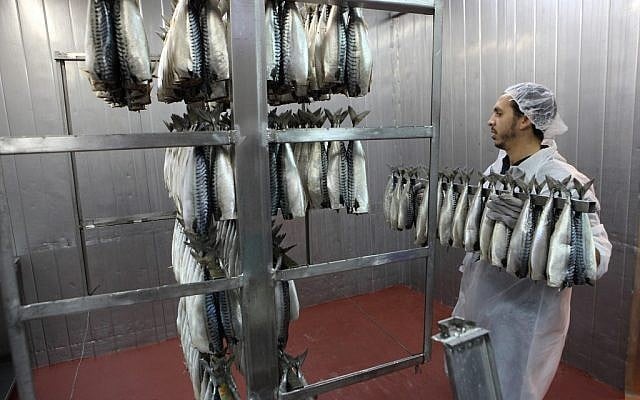 File: Fish being prepared in a Ramle factory (Yaakov Naumi/Flash90)