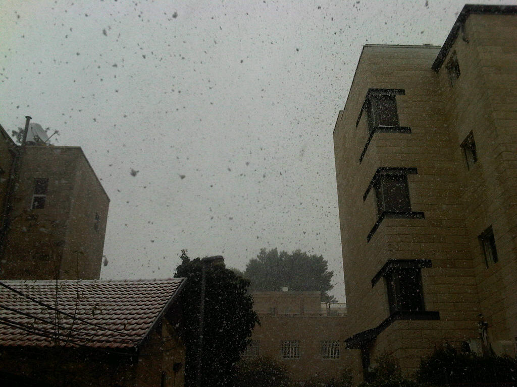 Snow falls in Jerusalem, March 2, 2012 (photo credit: Aaron Kalman/Times of Israel)