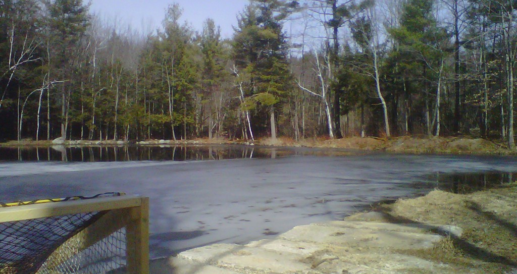 Ice partially covers the surface of the body of the former 'Jew Pond' in Mont Vernon, New Hampshire (photo credit:AP/Garrett Brnger) Ice partially covers the surface of the body of the former 'Jew Pond' in Mont Vernon, New Hampshire (photo credit:AP/Garrett Brnger)