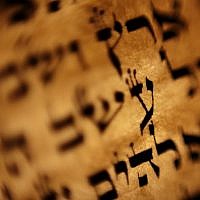 Torah calligraphy by Hanna Klebansky. (photo credit: AP/Bernat Armangue)