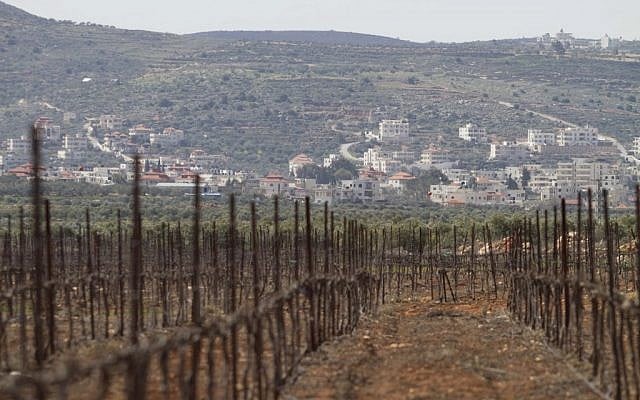 An illustrative photo of a vineyard in a West Bank settlement near Nablus (photo credit: AP Photo/Dan Balilty) An illustrative photo of a vineyard in a West Bank settlement near Nablus (photo credit: AP Photo/Dan Balilty)
