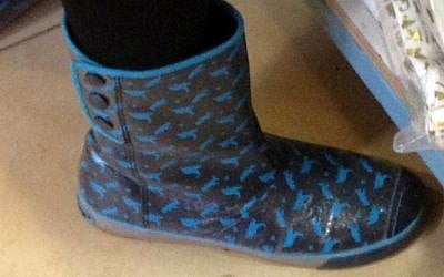 A whimsical wellie (photo credit: Jessica Steinberg/Times of Israel)