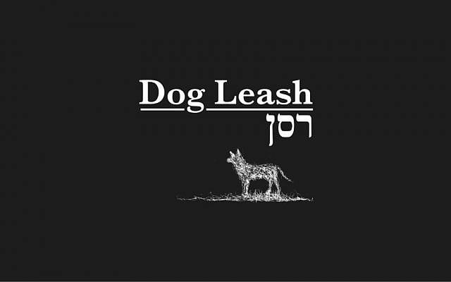 'Dog Leash,' a film by Eti Tsicko, is set for Cannes. (photo credit: courtesy)