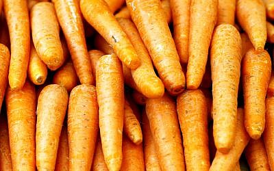 Israel exports 27,000 tonnes of carrots a month to Russia (photo credit: Abir Sultan/Flash 90)