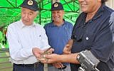 Israeli President Shimon Peres at a petting zoo in the Arava (photo credit: Tami Levana/GPO/Flash90)