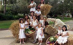 Children from Kibbutz Gilad (photo credit: Herzl Shapira/Flash90)