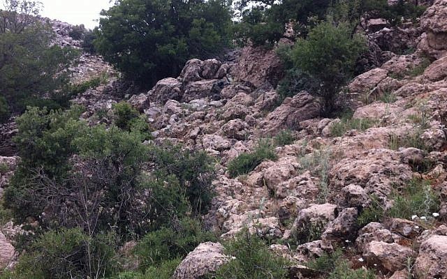 Two IDF scouts from the Egoz unit camouflage themselves. (photo credit: IDF Spokesperson via Facebook)
