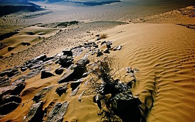 Gold in them hills! The southern Negev desert is drawing interest from prospectors. (photo credit: Doron Horowitz/Flash90)