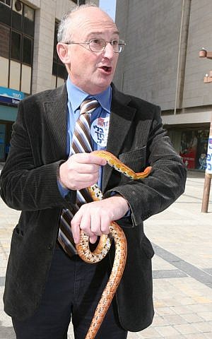 MK Arie Eldad handles a snake. (photo credit: Yossi Zamir/Flash90)