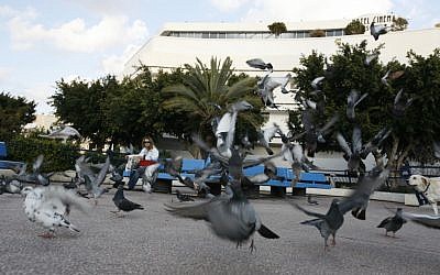 Ruth Park is right behind Dizengoff Circle, pictured here (photo credit: Miriam Alster/Flash 90)