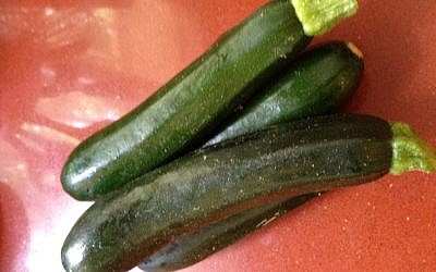 Zucchini in the flesh (photo credit: Jessica Steinberg)
