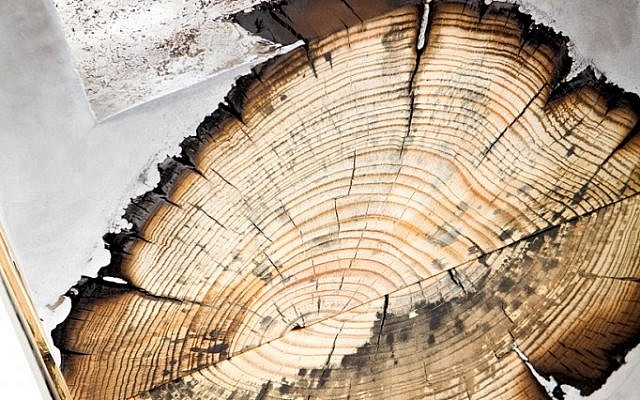 Where wood catches metal (Courtesy Hilla Shamia) Where wood catches metal (Courtesy Hilla Shamia)