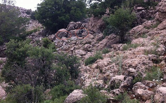 Two commandos from Egoz revealed. (photo credit: IDF Spokesman, IDFBlog)