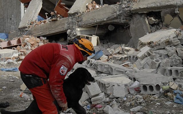 A Turkish rescue worker and dog search the rubble in the aftermath of the October 2011 earthquake in the city of Van (CC-BY-SA, AKUT Search and Rescue Association, Wikimedia Commons)