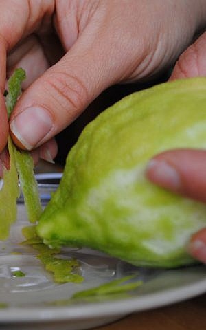 Moriel zests etrog for tincturing (photo credit: Noam Dehan)