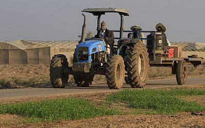 A farmer returns from work in the greenhouse of Kibbutz Nahal Oz, near the Israel Gaza border (photo credit: Tsafrir Abayov/Flash90)