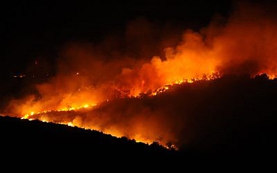 The Carmel fire raging through the forest on December 2, 2010. (Gili Yaari/ Flash90)