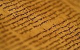 Fragments of the Dead Sea Scrolls, which include the oldest known surviving biblical manuscripts dated between 150 BCE and 70 CE, on display at the Israel Museum in Jerusalem (photo credit: Miriam Alster/Flash90)