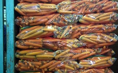 Packing up carrots for the Czech Republic (photo credit: Jessica Steinberg)