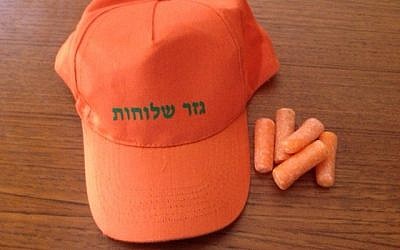 Yosi Kanner's Gezer Shluhot hat, and some baby carrots (photo credit: Jessica Steinberg)