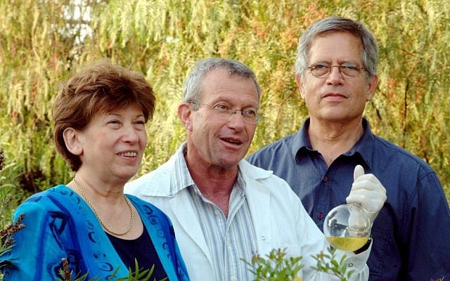 Professor Eliahu Heldman, flanked by Dr. Sarina Grinberg and Dr. Charles Linder, holds a life-sized model of a vesicle, used to transport drugs to brain in the V-Smart technology the three developed (photo credit: Courtesy)